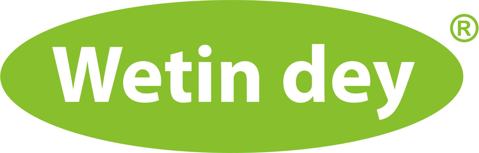Wetin Dey Logo