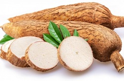 Cassava